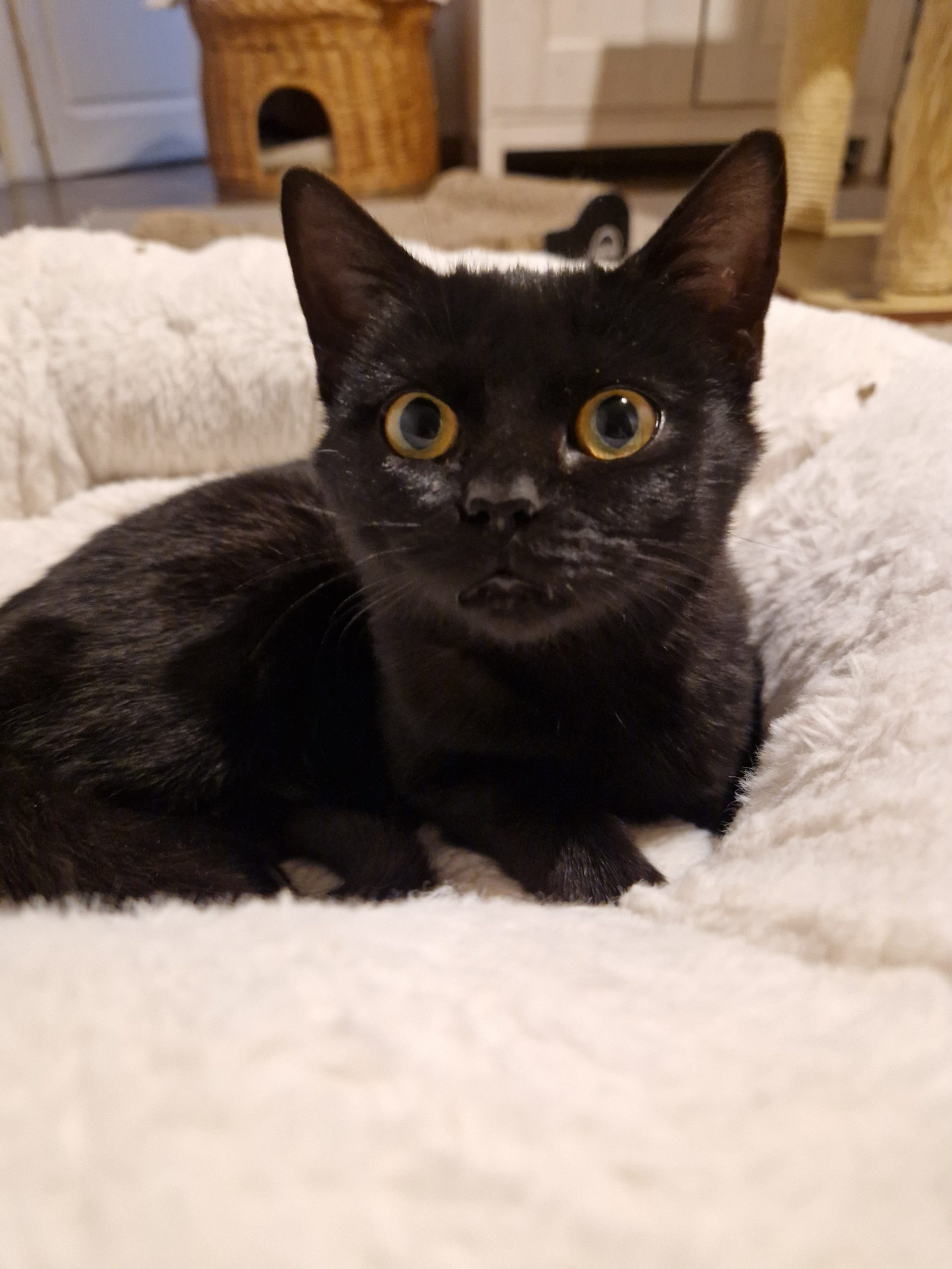 20251124 164305 scaled