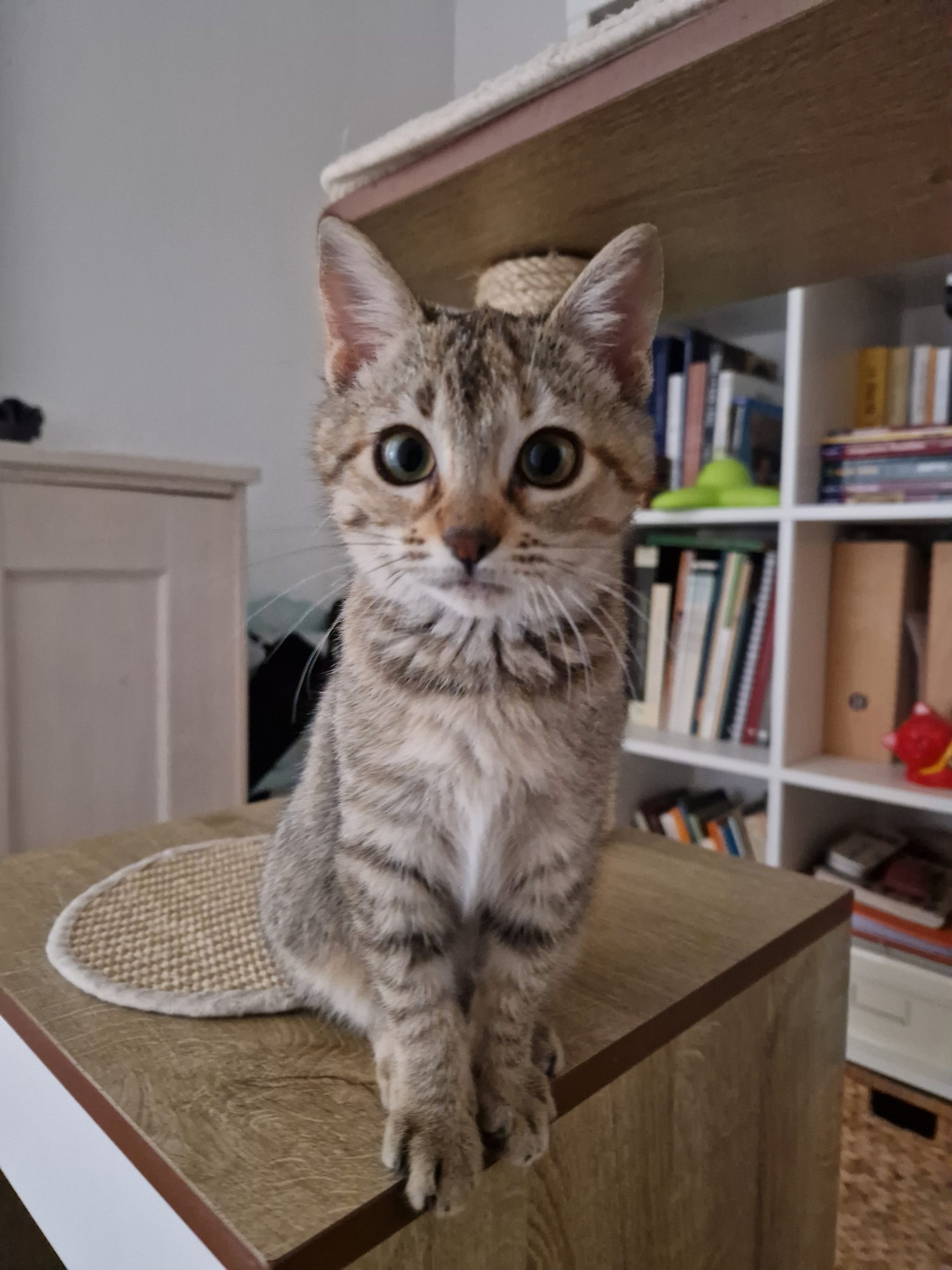 20251126 115127 scaled