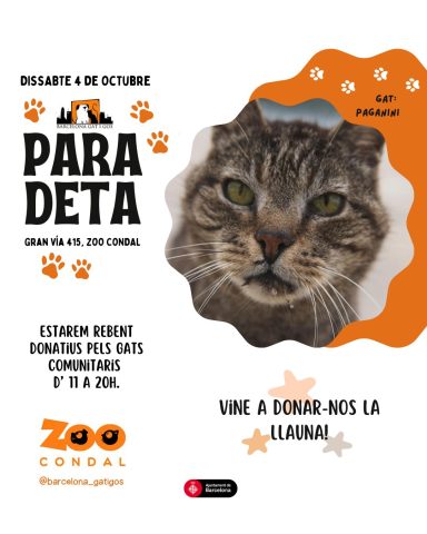 OCTUBRE ZOO CONDAL