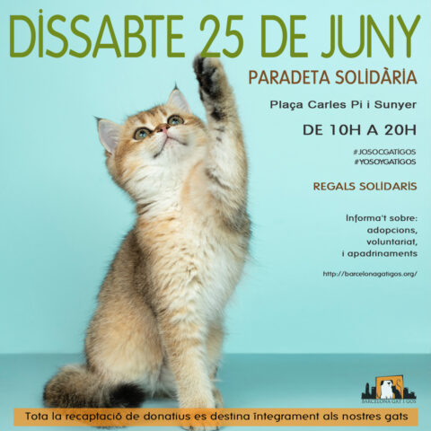 Paradeta 25 JUNY 2022
