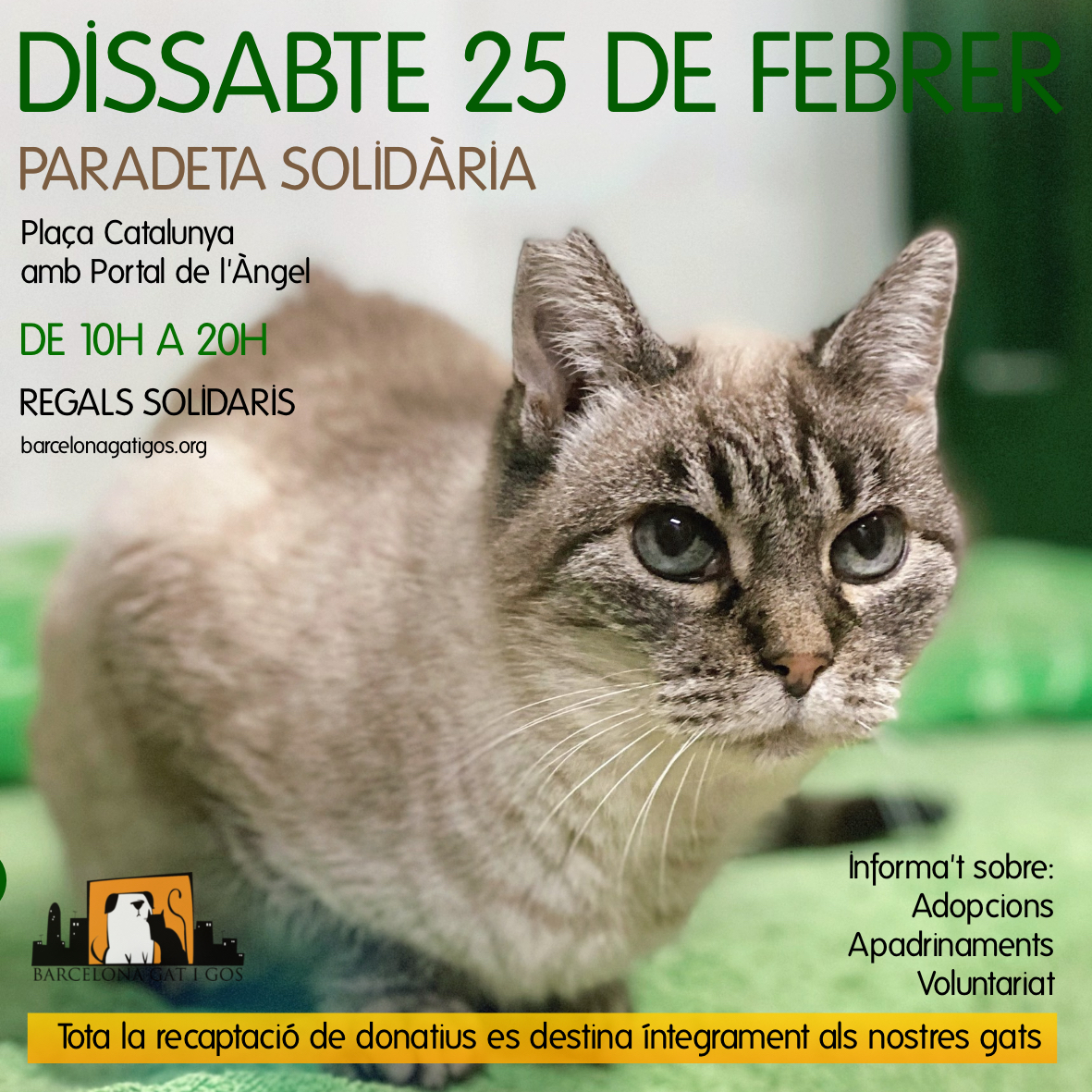 Paradeta 25 febrer
