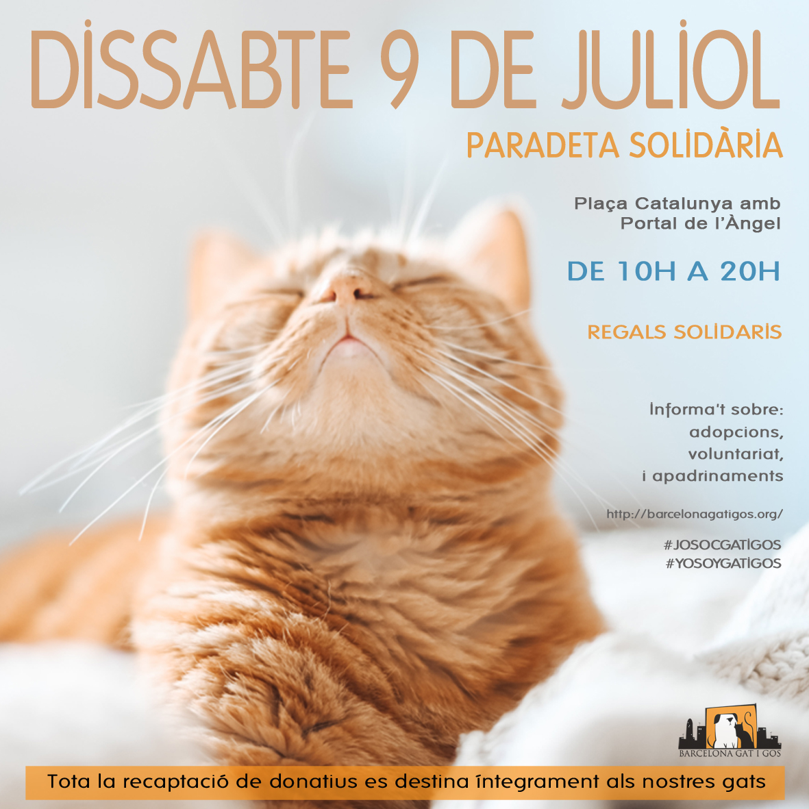 Paradeta 9 JULIO 2022