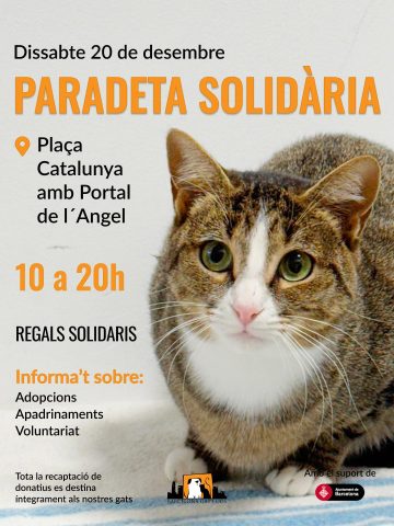 gateta que es diu Ona ratllada amb el morret blanc