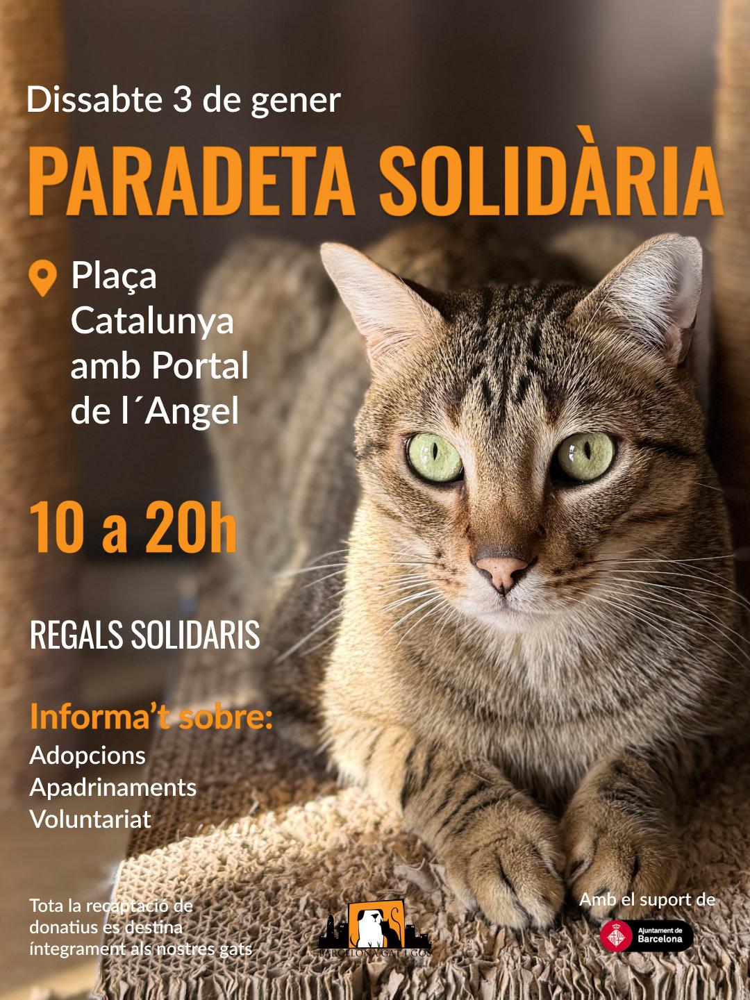 WhatsApp Image 2026 01 18 at 19.20.41 2