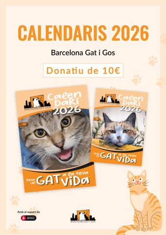 FOTO de la portada dels calendaris de paret i de taula de l'associació.